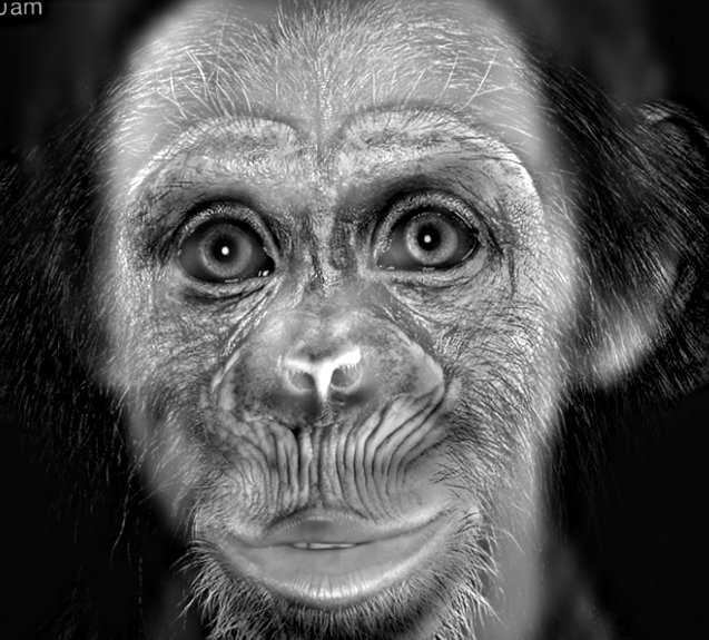humanzee2
