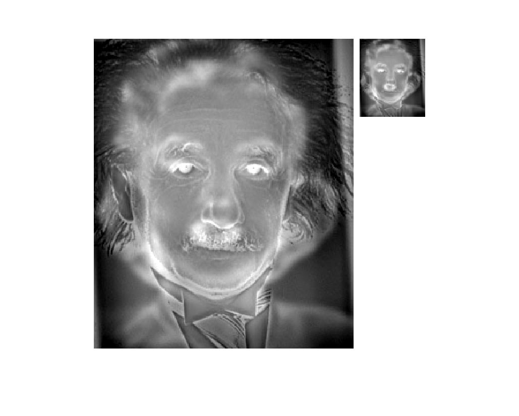 Marilyn Einstein