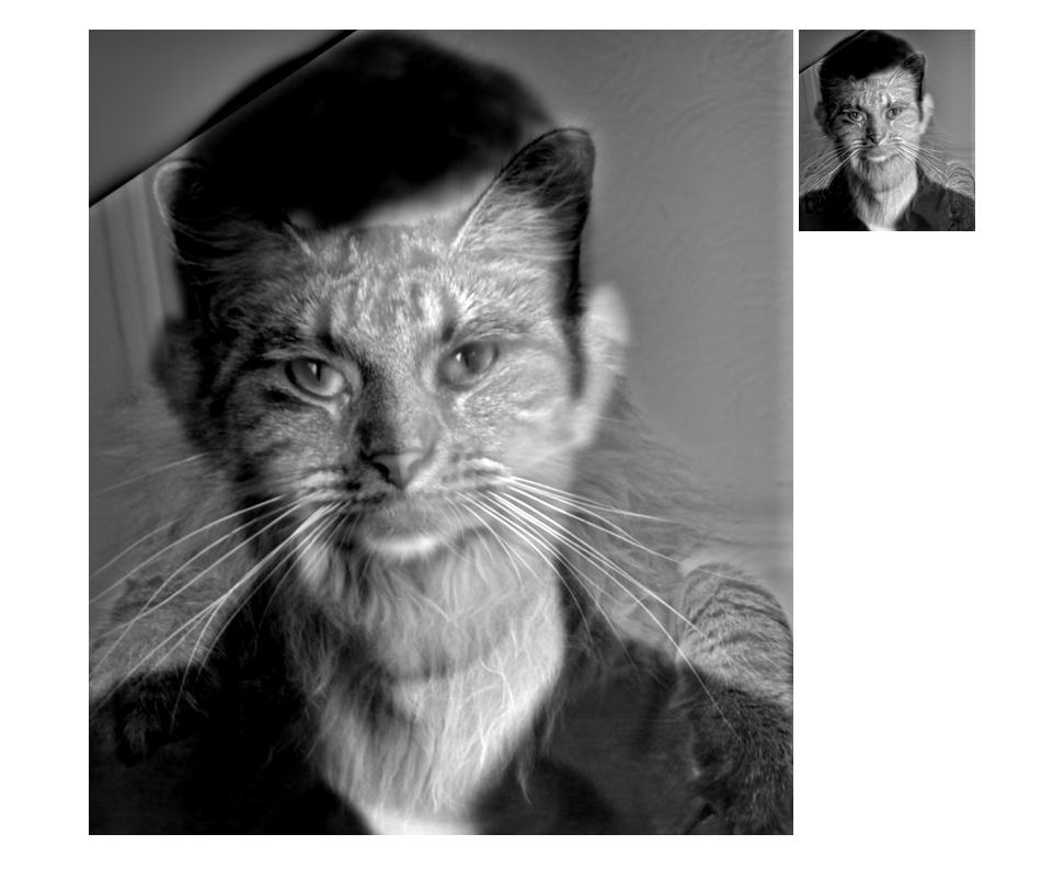 Derek and nutmeg