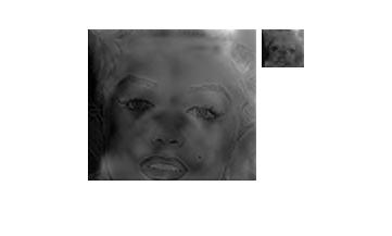 dog and marilyn